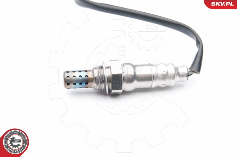 Oxygen Sensor
